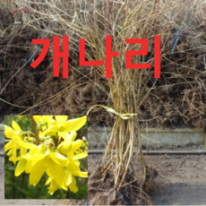 42c2a0afacdb96b1279fa284b9a161f40316d85d9d98072301e564a4343b.png