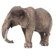 코끼리와헤엄치다