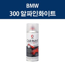 BMW 300 알파인화이트 스프레이 카페인트 자동차 차량용 셀프도색, 1개 - bmw알파인화이트붓펜