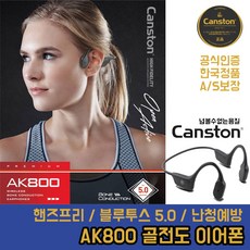 캔스톤vx301