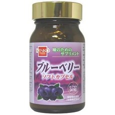 Kenko Foods(健康フーズ) 일본직구 식품 블루베리 소프트캡슐 90정, 1개