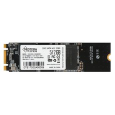 VIVA 300s M.2 LITE SSD, 512GB - seacdriver다이브컴퓨터