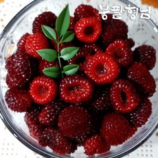 새콤달콤 포항 산딸기 500g 생딸기 신선포장, 없음