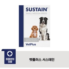  벳플러스 서스테인 개 고양이 항산화제 면역력관리(유통기한 24.9.7), 1개 
