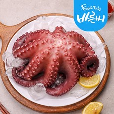 에코파워팩뉴슬림