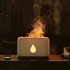 파라미불꽃가습기