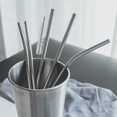 리빙안 스텐 빨대 텀블러 빨대 세척솔, 일자형2p, 1개