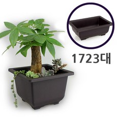 I에이블이지쇼핑몰I모던심플 다육이 미니사각 다크닉화분 - 1723대ㅡ물류센터 직배송, 상세이미지 체크, 상세이미지 체크