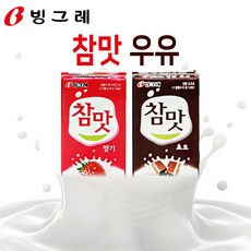 빙그레 참맛 딸기우유12팩+초코우유12팩 멸균우유, 1개, 190ml