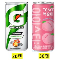 게토레이캔)240ml(30캔) + 아이스티 복숭아240ml(30캔), 60개, 240ml