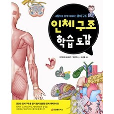 인체 구조 학습 도감 그림으로 쉽게 이해하는 몸의 구조, 상품명