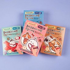 몰랑종이스퀴시