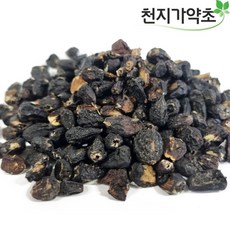 오가피열매 국내산 1.2kg (600g x 2개), 2개, 600g, 1개입