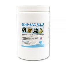 비니백플러스유산균