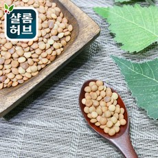 샬롬허브 렌틸콩 1kg, 1개