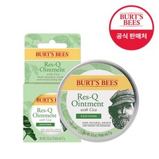 버츠비레스큐오인트먼트시카