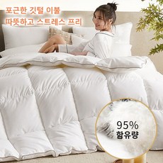 1/1+1거위털 이불 사계절 흰색 구스다운 이불 두꺼운 겨울 이불담요