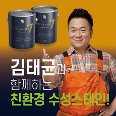 슈테인더