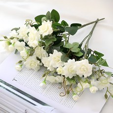 Happy Village 貝拉羅杰和諧布什 2p, 混色