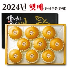GAP 인증 산지직송 프리미엄 나주배 신고배 선물세트 제수용 가정용 과일 햇 배 설 추석 명절 선물용 5kg 7.5kg 15kg, 7.5kg 10~12과 내외(선물용), 1개