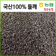제주시맥선메밀가루r100