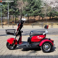 알엠티 KC인증 삼륜 2인승 전동스쿠터 전동오토바이 노인 3륜 부모선물 RMT20AH04 할인행사3일, 오렌지, 5A