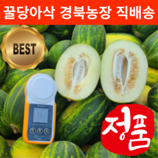 [국내유일] 고령 최초농장 18bix 무농약 개구리 참외, 1박스, 3kg(5-9과)