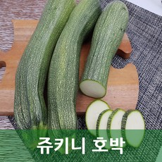 옐로주키니