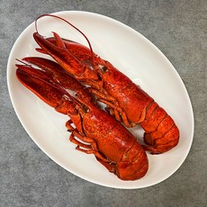 브라더조셀렉샵