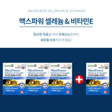 시서스갑상선기능저하