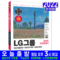 lg인성검사책