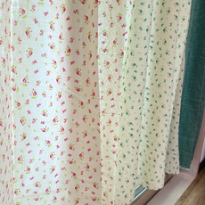 다이슨디지털슬림플러피플러스