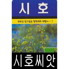 [워터트리몰] 시호씨앗(1000립) 채소 꽃 종자 재배 씨앗 허브 (A)