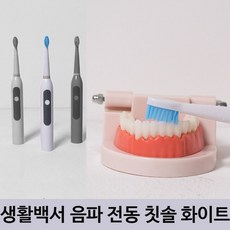 생활백서전동칫솔