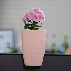 코아코아공부상