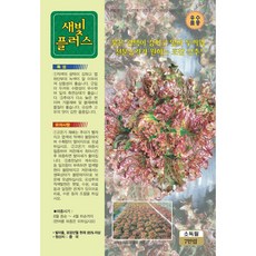  새빛플러스 상추 팰랫 20000립 KS종묘 2만원이상 구매시 