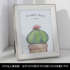 북유럽 홈카페 인테리어 액자 미니 선인장 녹색식물 가로 대형 그림액자 인스, 10인치 선인장