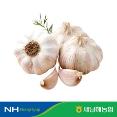 [새남해농협] 해풍을 먹고 자란 남해 햇마늘 1kg, 1개