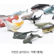 톱상어