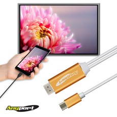 wiihdmi