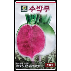 수박무