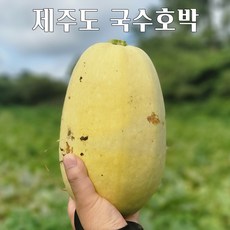 국내산단호박
