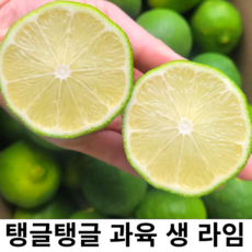 수입 생 라임 생라임 중 대과 프리미엄 신선하고 과즙 탱탱 가정용 업소용 카페 납품용 LIME, 1박스, 1kg내외(8-12과내외)