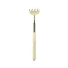 강아지 고양이 등 스크래처 브러시 마사지 망원경 텔레스코픽 가려, 1개