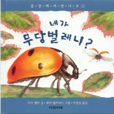 무당벌레책
