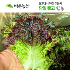 < 바른농산 > 국내산 꽃상추 꽃적상추 쌈채소 (2kg), 1개” width=”90″ height=”90″><span class=