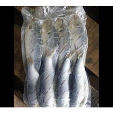 전어 칼집내장제거 1KG (마리당 60~80G), 1개, 단품