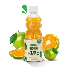 제주청귤 착즙주스 제주인생주스 8개 320ml