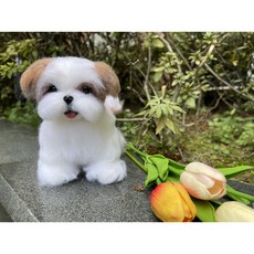 양모펠트강아지주문제작