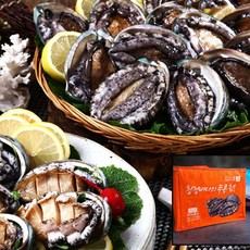 완도전복1kg10미